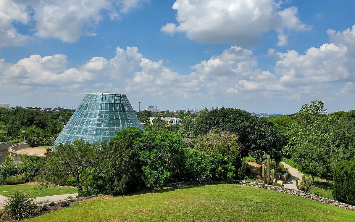 A view of San Antonio